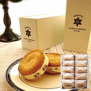 NEhDERe [YThOEx[Zbg (RGS-003)y͂ԁF12{`z